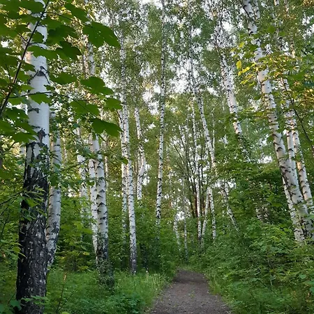 Monte Lope Appartement Bystrice pod Lopenikem