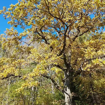 Monte Lope Bystrice pod Lopenikem