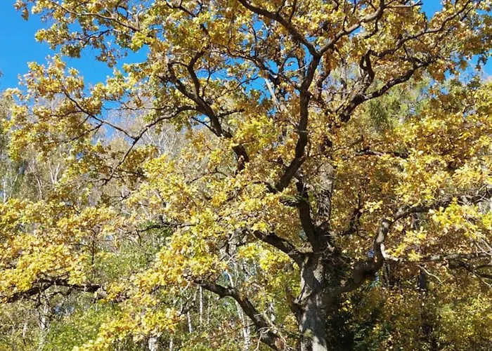 Monte Lope Bystrice pod Lopenikem